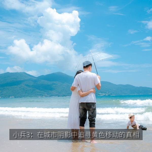 小兵3：在城市阴影中追寻黄色移动的真相 纪录片海报
