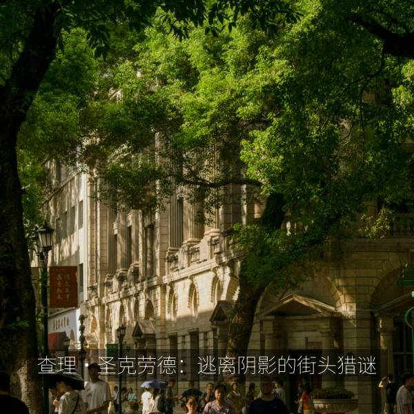 查理·圣克劳德：逃离阴影的街头猎谜 纪录片海报