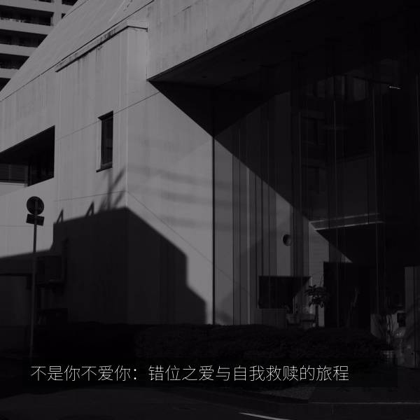 不是你不爱你：错位之爱与自我救赎的旅程 纪录片海报